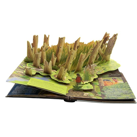 STEPHEN KING THE GIRL WHO LOVED TOM GORDON POP-UP BOOK LIMITED EDITION 2004 - Picture 6 of 10